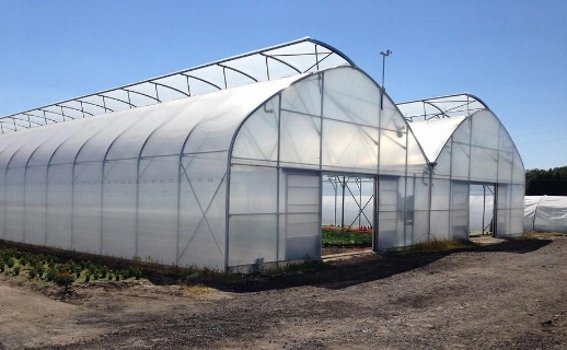 63015 1764143601 oleg post material medium